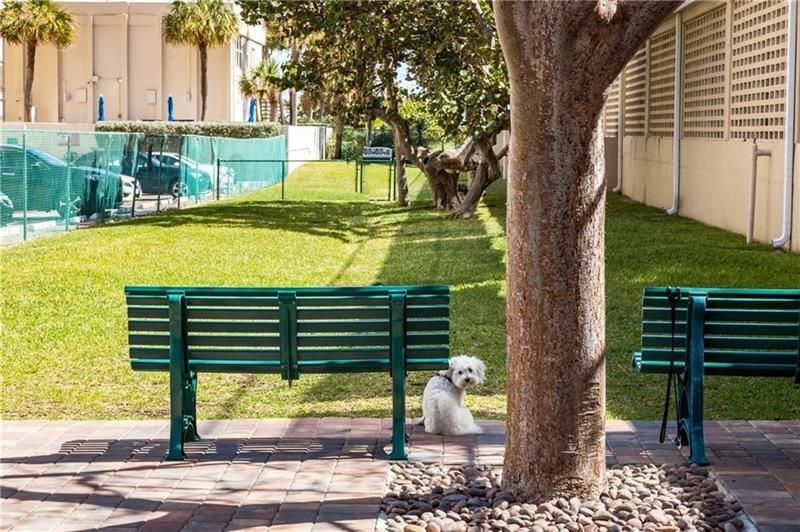 4900 N Ocean Boulevard, Unit 802, Lauderdale by the Sea, FL 33308 Photo