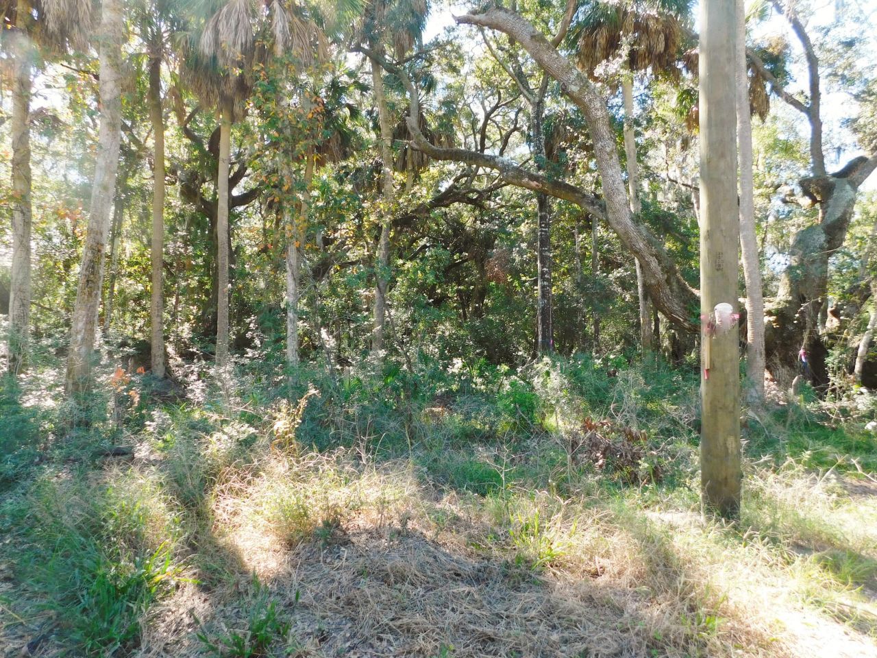 0 Cheehaw Street Photo 7