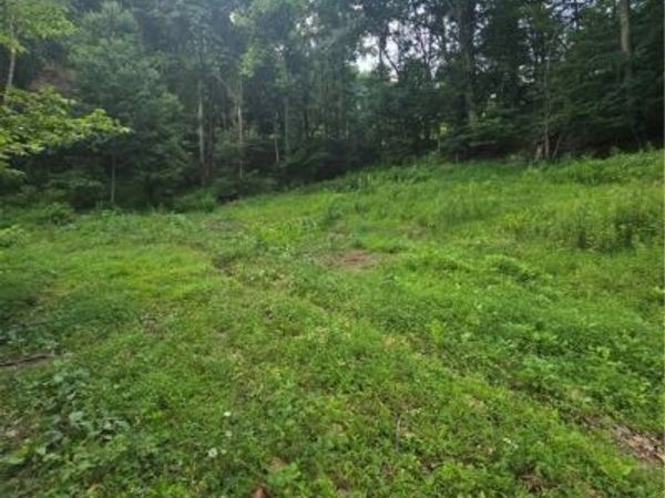 79 Manistee Lane, Charleston, WV 25313