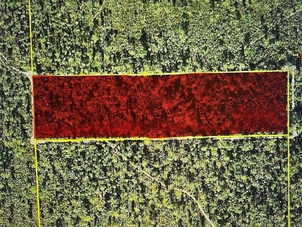 TBD NE NE 144TH TERR, SILVER SPRINGS, FL 34488