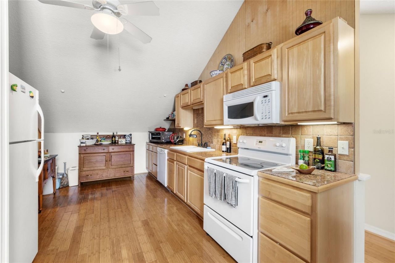 442 E 3rd Avenue, Mount Dora, FL 32757 Photo