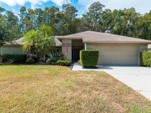 3238 GLENRIDGE DRIVE, PALM HARBOR, FL 34685