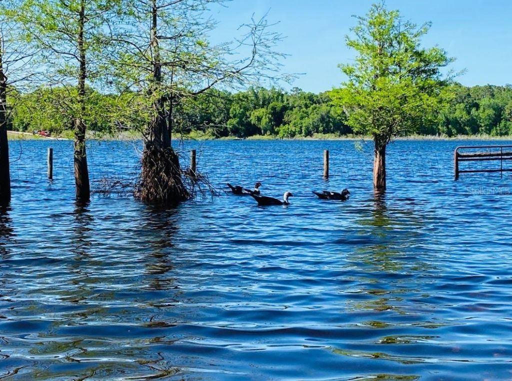 1210 Gem Lane, Lake Helen, FL 32744 Photo