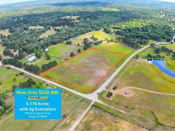 TBD Homestead CIR, Paige, TX 78659