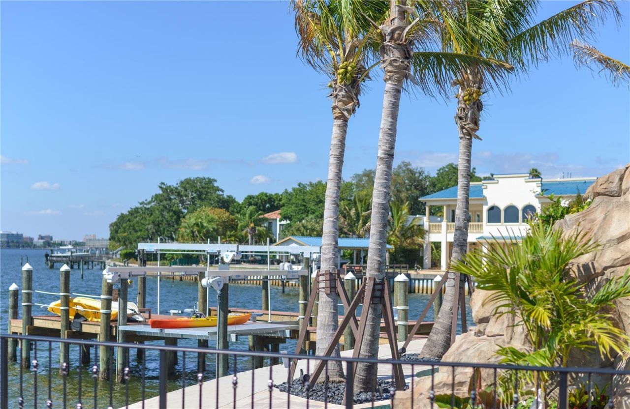 566 Rhine Avenue, Tampa, FL 33606 Photo