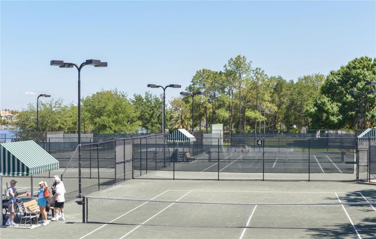 566 Rhine Avenue, Tampa, FL 33606 Photo