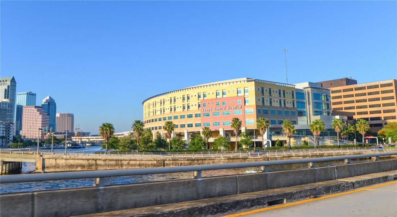 566 Rhine Avenue, Tampa, FL 33606 Photo