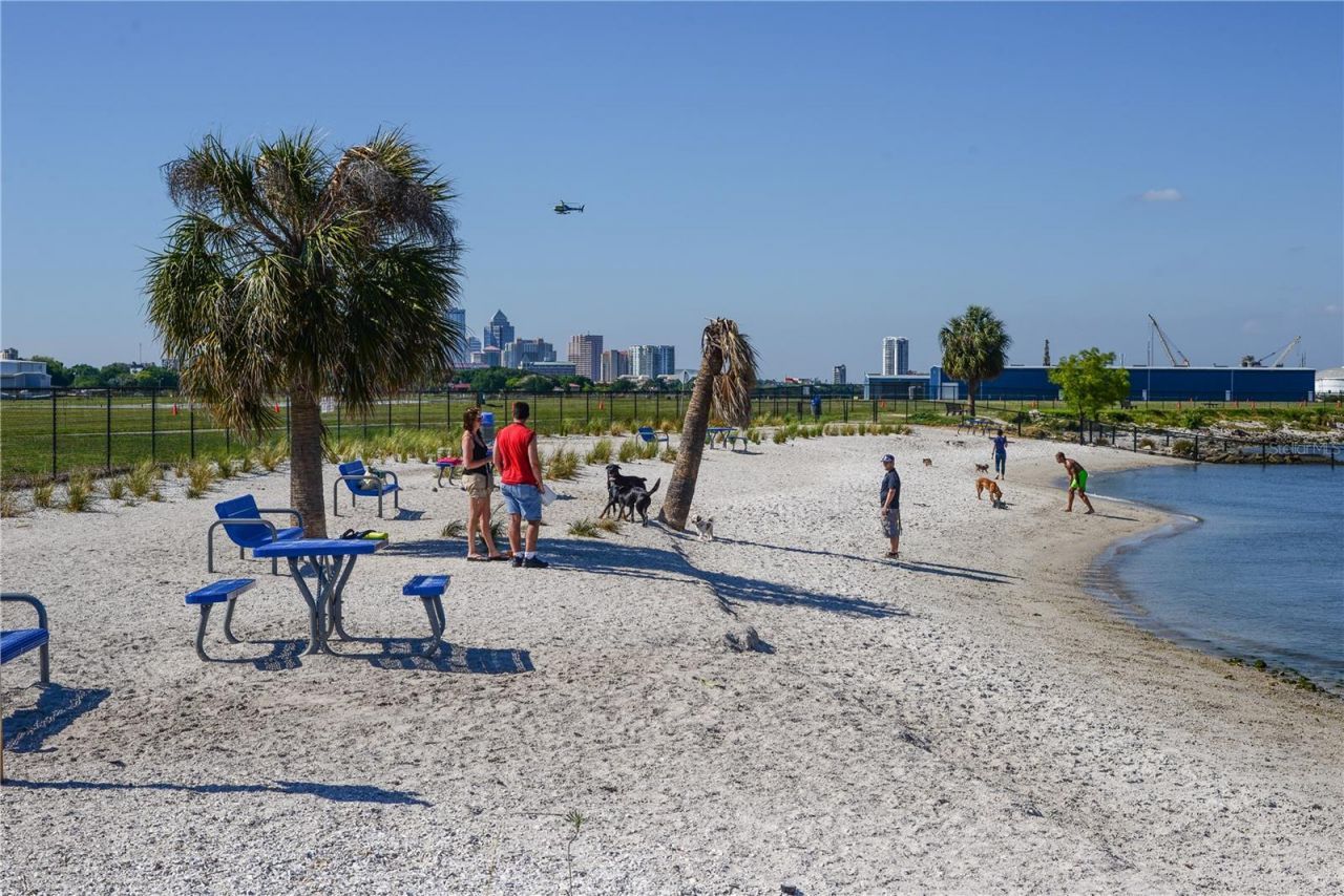 566 Rhine Avenue, Tampa, FL 33606 Photo