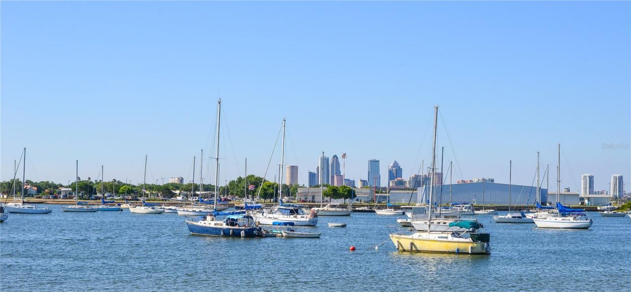 566 Rhine Avenue, Tampa, FL 33606 Photo