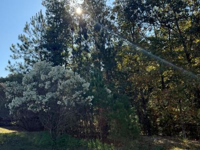 761 Carolina Aster Drive , Blythewood, SC 29016