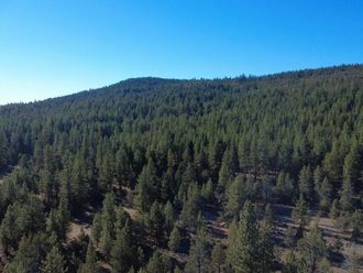 000 KNA Picard/ Old State Hwy Road Dorris, CA 96023