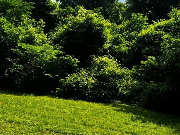 0 RIVERSIDE DR, Memphis, TN 38109