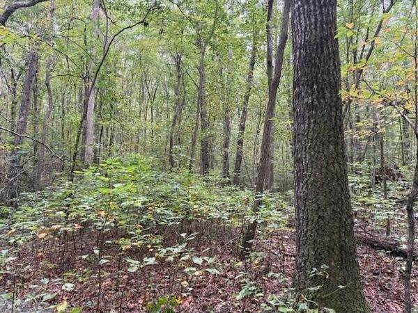 Lot 2 Tipple Road, Tracy City, TN 37387