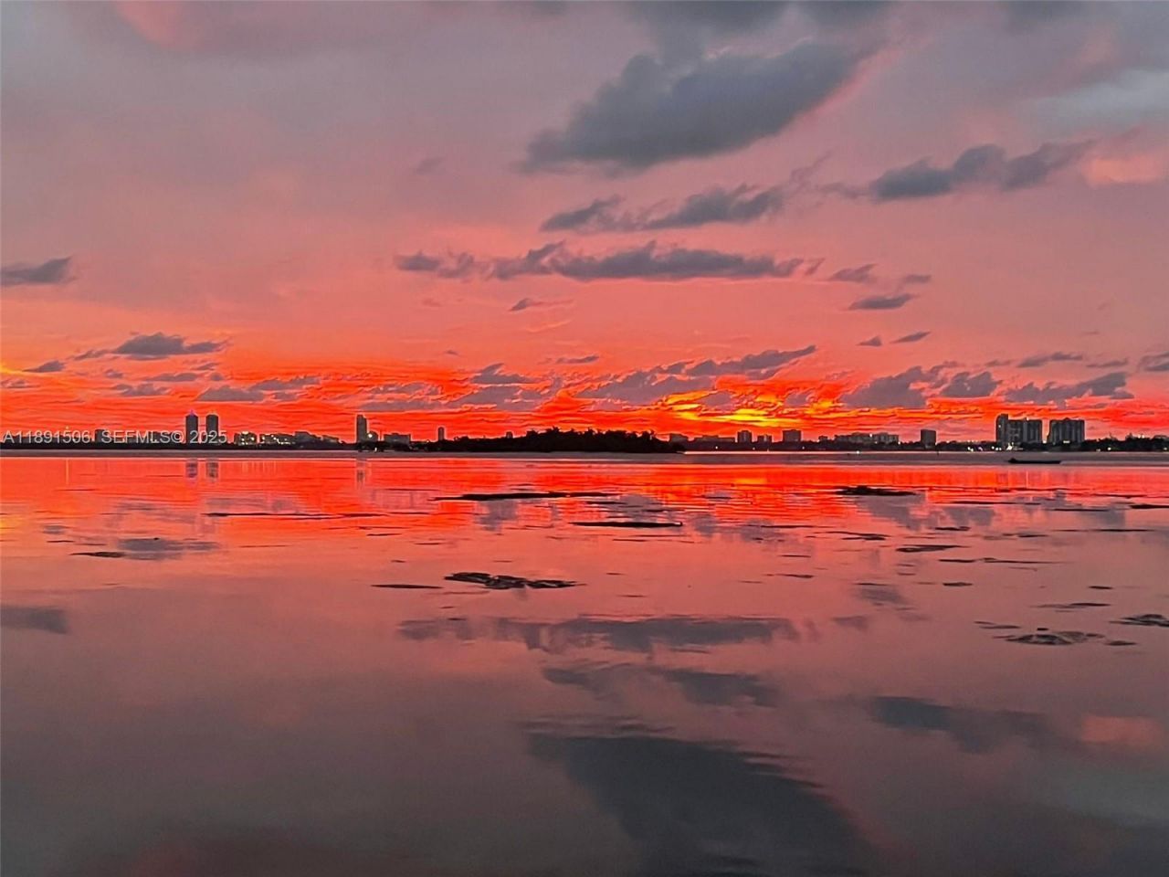 2000 N Bayshore Dr, Unit 907, Miami, FL 33137 Photo