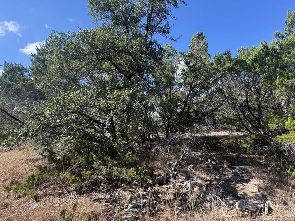 217 Breeze Pt, Fischer, TX 78623