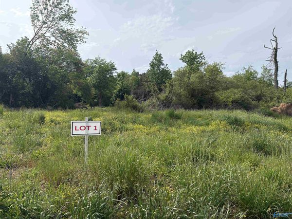 Lots 1 Hwy 40, Henagar, AL 35978