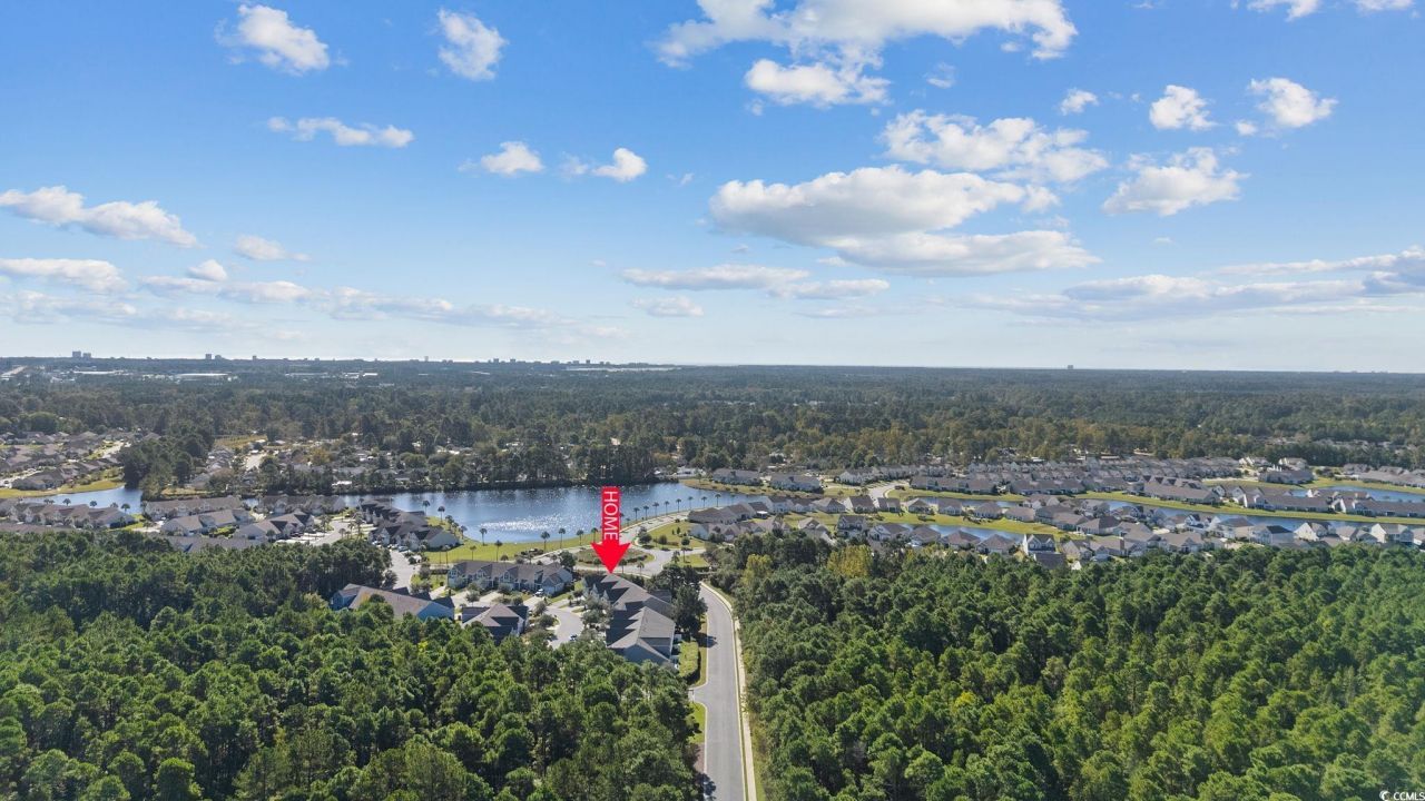 817 Arezzo Way Photo 39