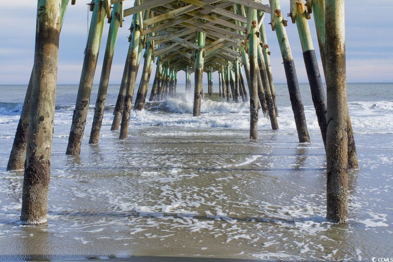 109 Ella Kinley Circle Photo 40