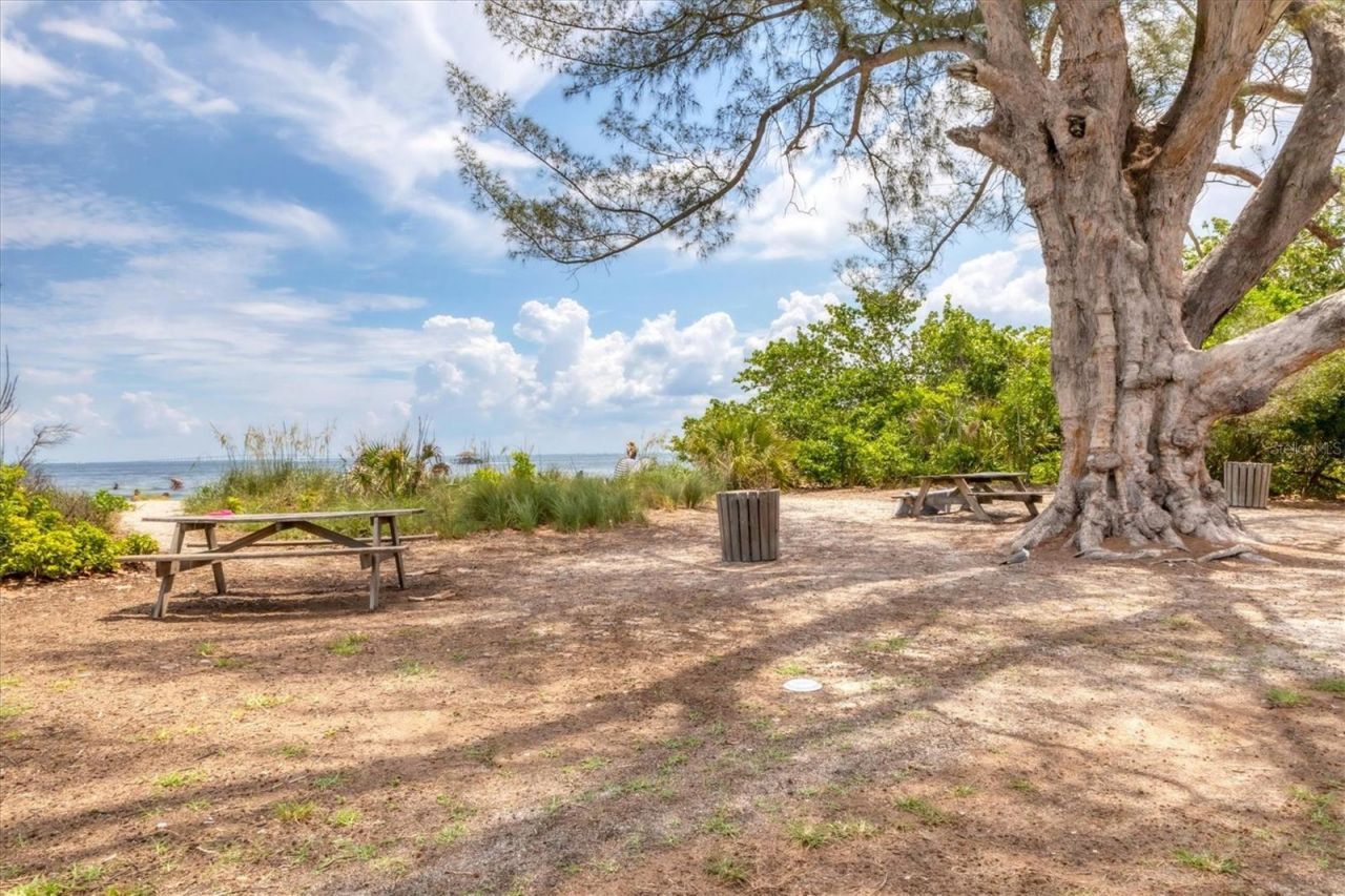 12622 Safe Harbour Drive, Cortez, FL 34215 Photo