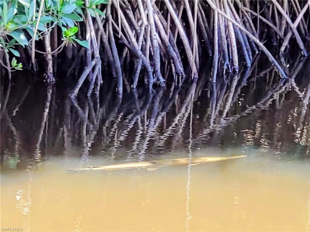 1370 Harbor View Dr, North Fort Myers, FL 33917 Photo