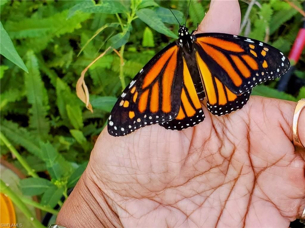 1370 Harbor View Dr, North Fort Myers, FL 33917 Photo