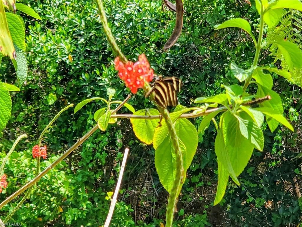 1370 Harbor View Dr, North Fort Myers, FL 33917 Photo