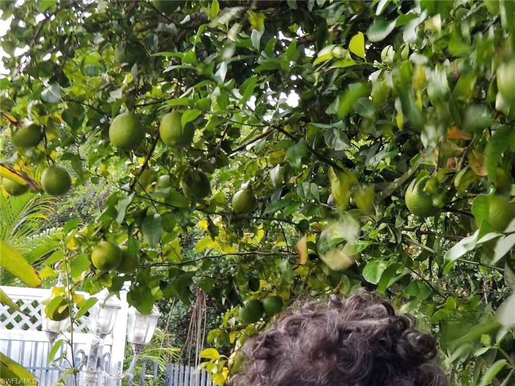 1370 Harbor View Dr, North Fort Myers, FL 33917 Photo