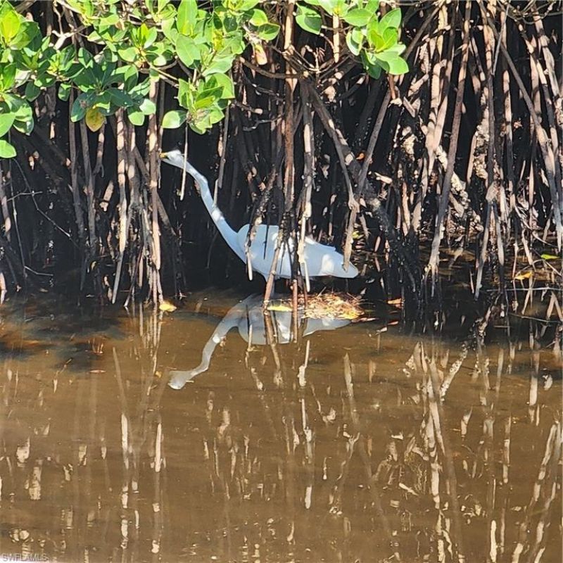 1370 Harbor View Dr, North Fort Myers, FL 33917 Photo