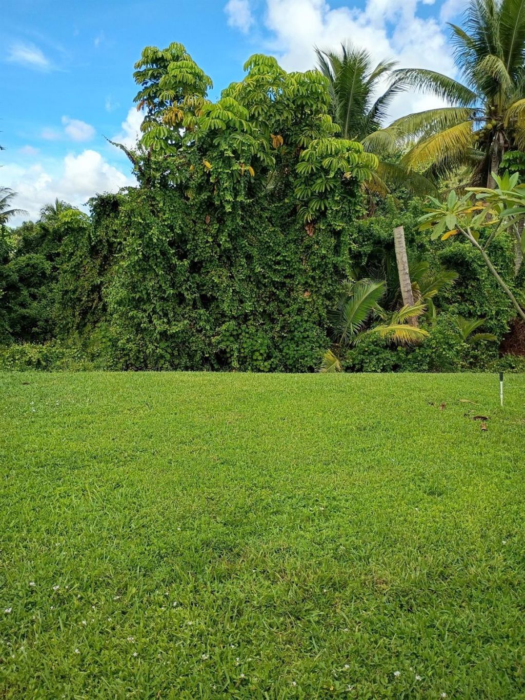 3353 Lake Overlook Place, Lantana, FL 33462 Photo