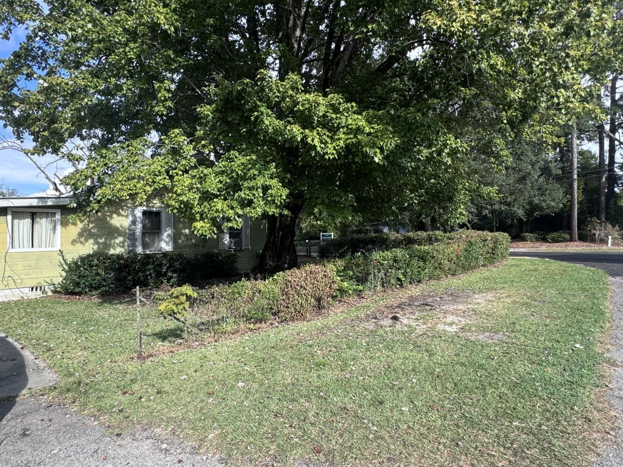 808 W 1st Street Photo 18