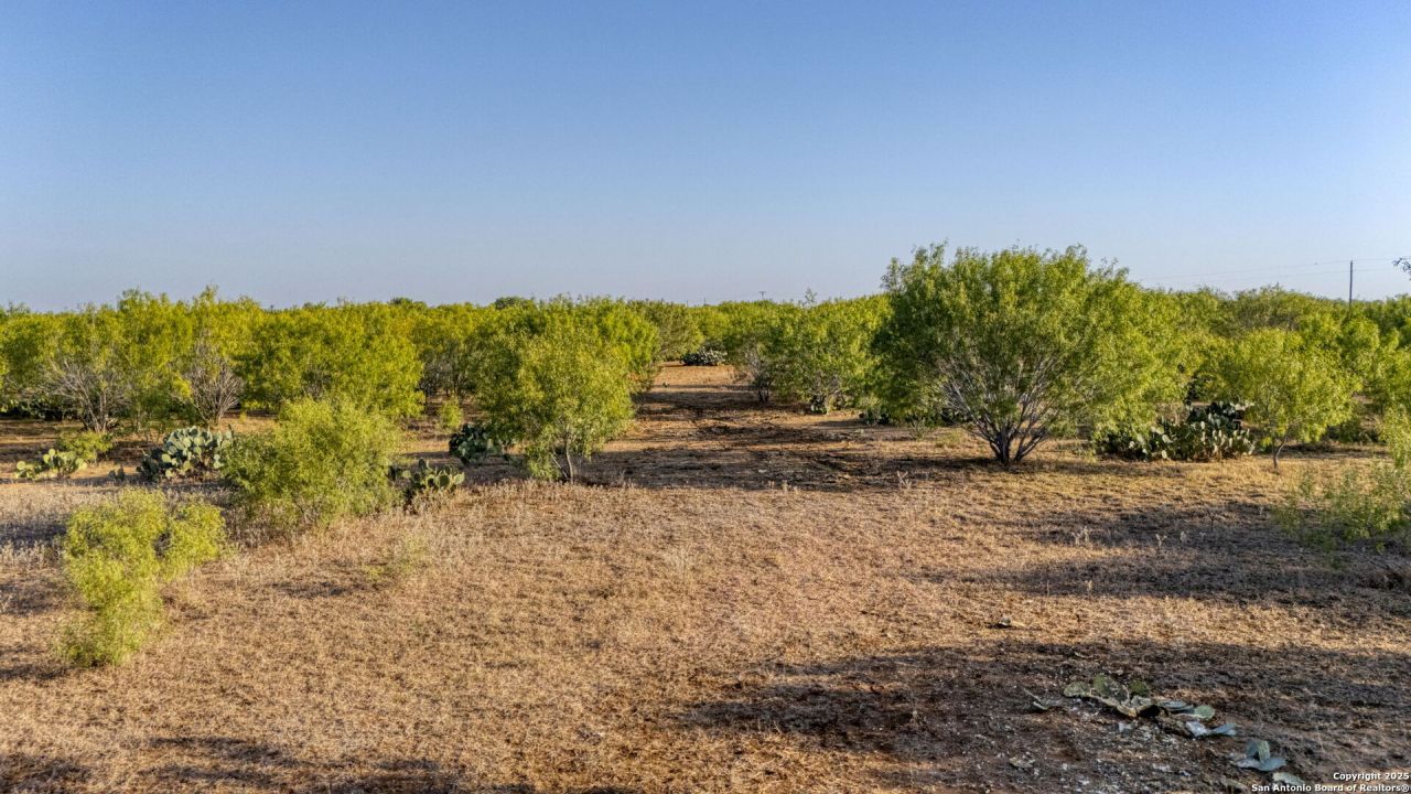 2 Cr 331 E, Jourdanton, TX 78026 Main Photo