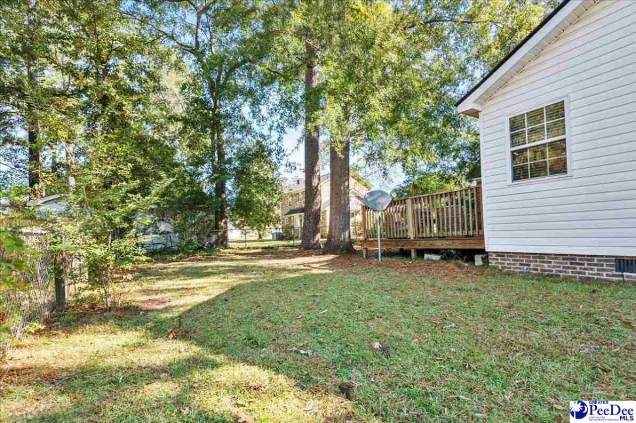 419 Chippenham Lane Photo 37