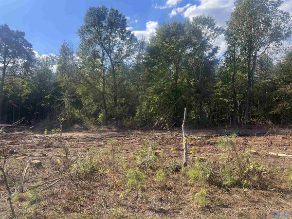 Lot 4, Tract 3 Summer Breeze Drive, Cedar Bluff, AL 35959