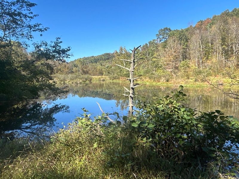 0 Dougan Road, Patriot, OH 45658 Photo 23