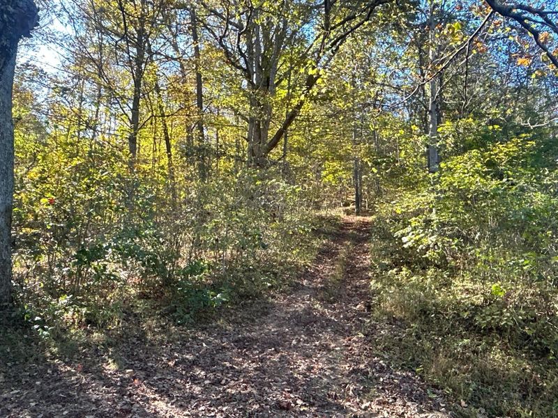 0 Dougan Road, Patriot, OH 45658 Photo 24