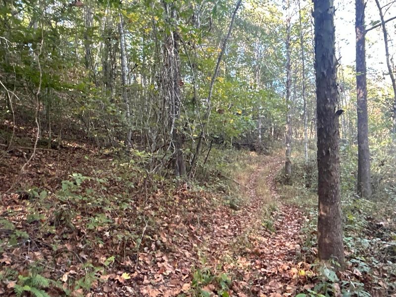 0 Dougan Road, Patriot, OH 45658 Photo 25