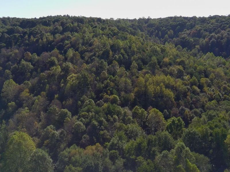 0 Dougan Road, Patriot, OH 45658 Photo 30