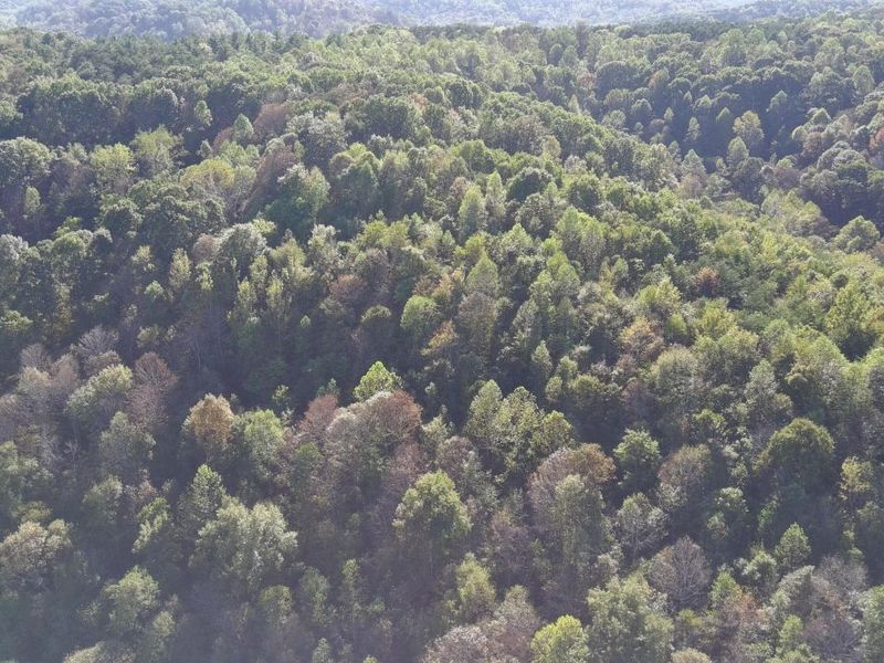 0 Dougan Road, Patriot, OH 45658 Photo 31