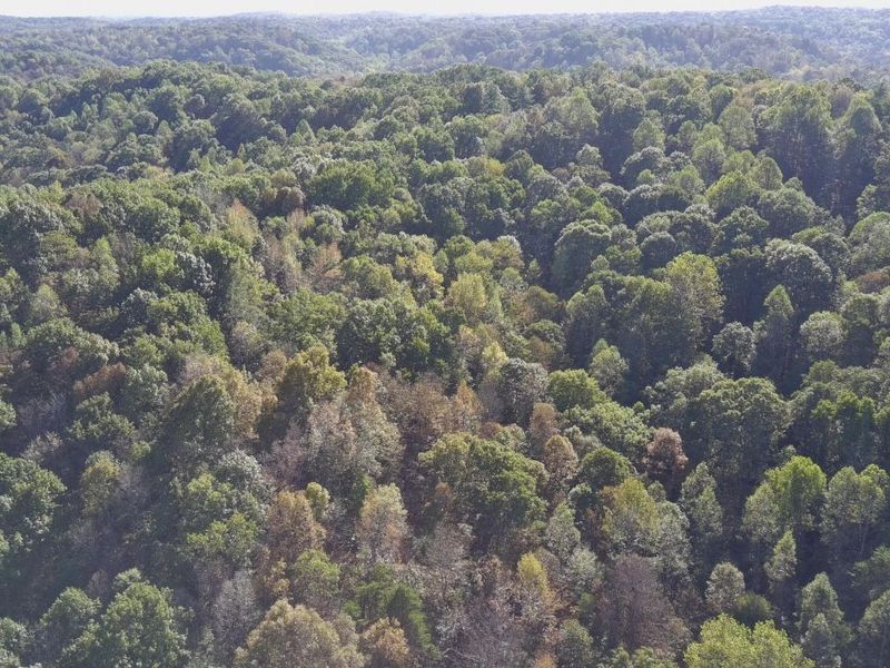 0 Dougan Road, Patriot, OH 45658 Photo 32