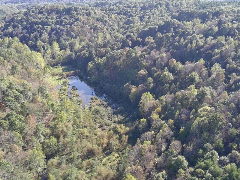 0 Dougan Road, Patriot, OH 45658 Photo 34