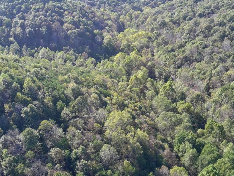 0 Dougan Road, Patriot, OH 45658 Photo 36