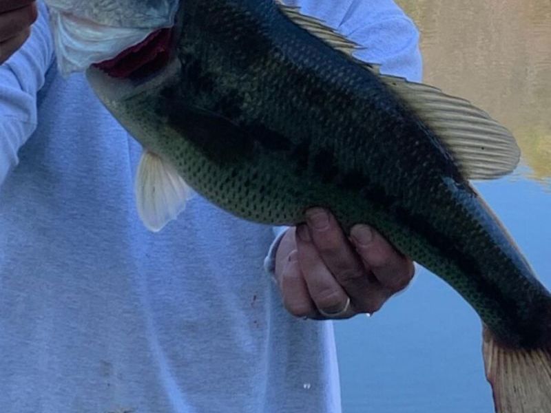 0 Dougan Road, Patriot, OH 45658 Photo 37