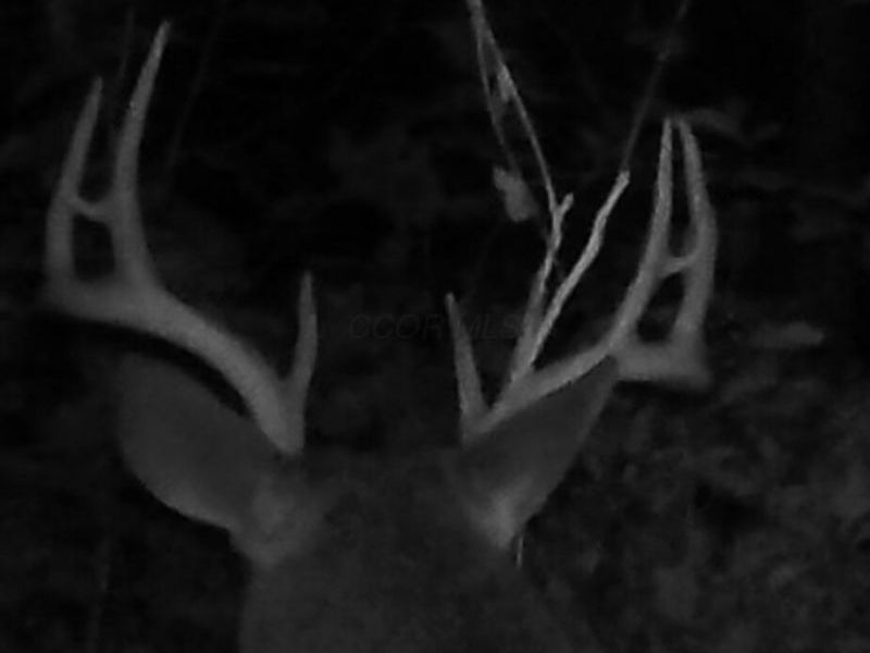 0 Dougan Road, Patriot, OH 45658 Photo 38