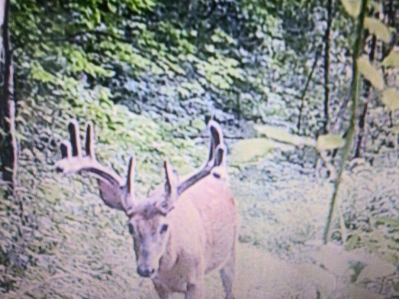 0 Dougan Road, Patriot, OH 45658 Photo 41