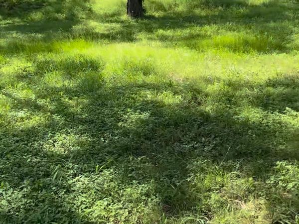 10002 Highway Fm 969 RD, Austin, TX 78724