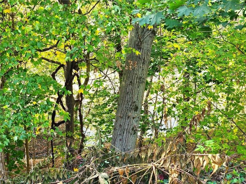 425 West Avenue, Elyria, OH 44035 Photo 43