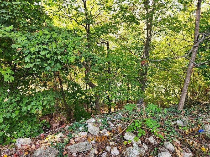 425 West Avenue, Elyria, OH 44035 Photo 45