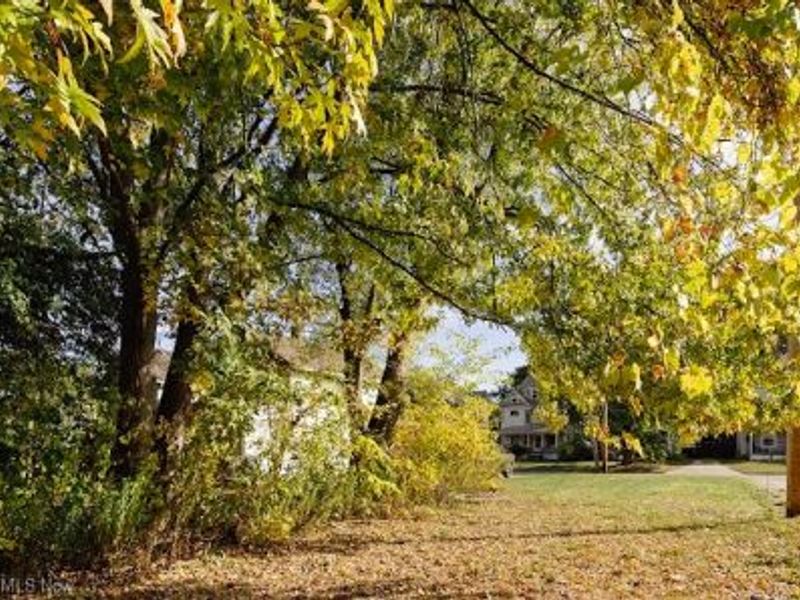 336 Furnace Street, Elyria, OH 44035 Photo 4