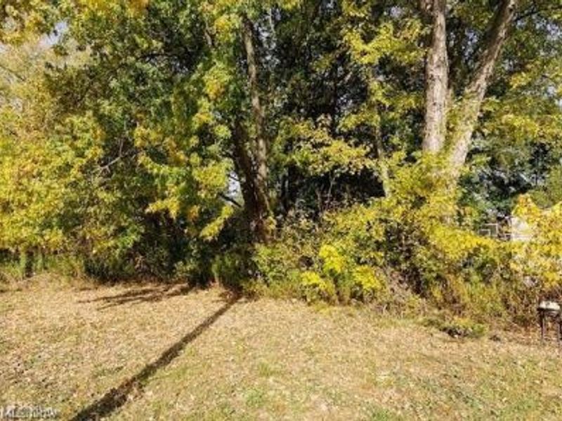336 Furnace Street, Elyria, OH 44035 Photo 5