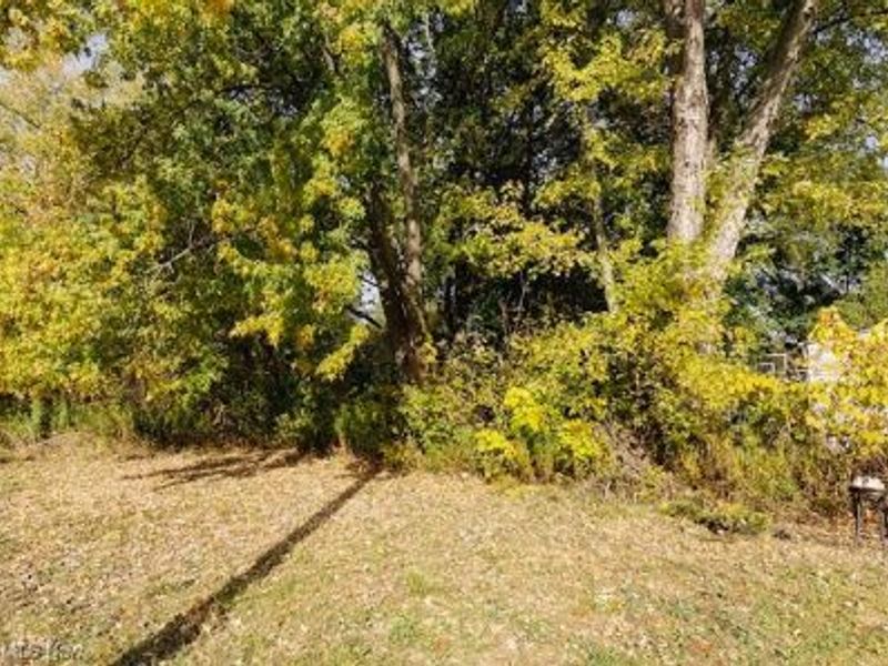 336 Furnace Street, Elyria, OH 44035 Photo 5